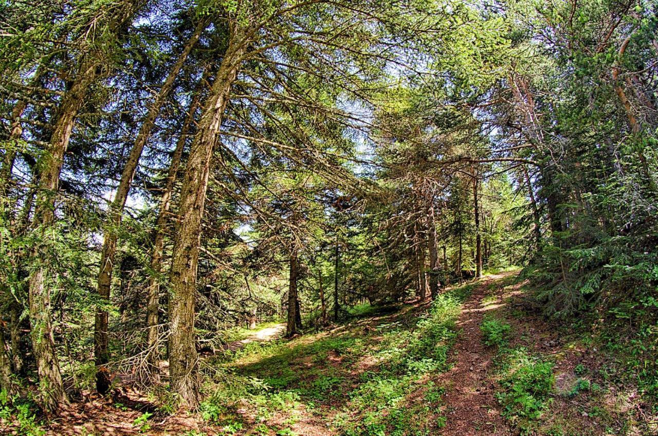 Colline Morghetta Hébergement de vacances Isolabona